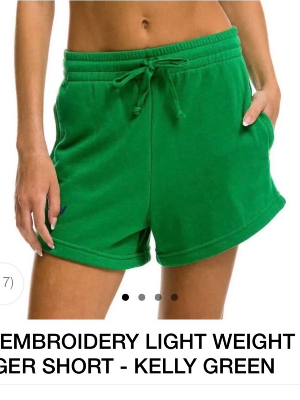 Aviator Nation Kelly Green Drawstring Athletic Shorts